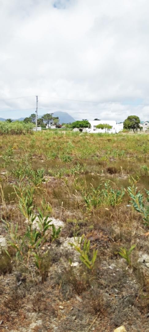 0 Bedroom Property for Sale in Fisherhaven Western Cape